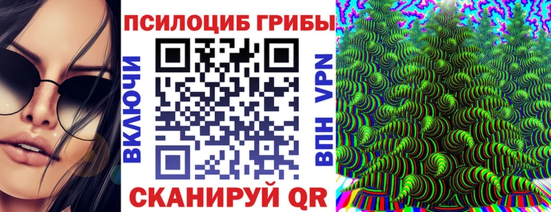 Купить закладки  Лаишево  Псилоцибиновые грибы MAGIC MUSHROOMS 